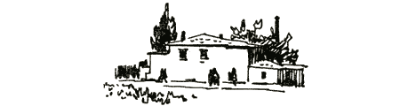 Толя-Трилли img27.png