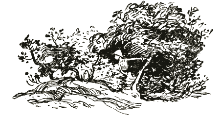 Толя-Трилли img28.png