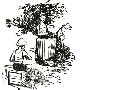 Толя-Трилли img30.png