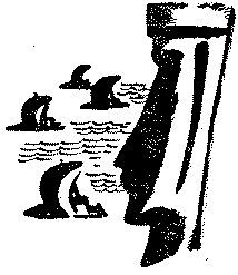 От «Кон-Тики» до «Ра» i_003.jpg