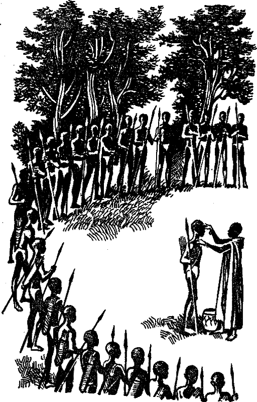 Камелефата i_002.png