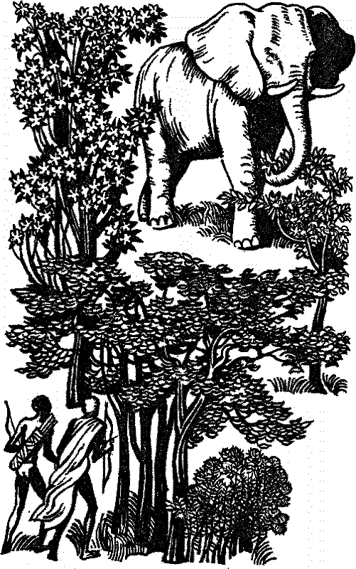 Камелефата i_005.png