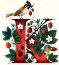 Семь разноцветных сказок i_006.jpg