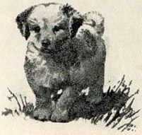 Птица-синица i_008.jpg