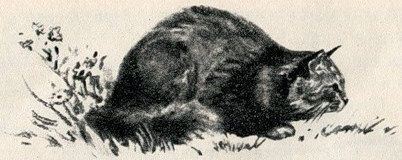 Птица-синица i_017.jpg