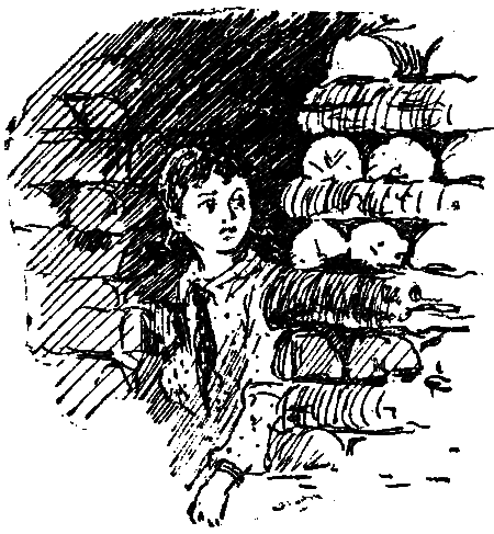 Дом в Цибикнуре i_019.png