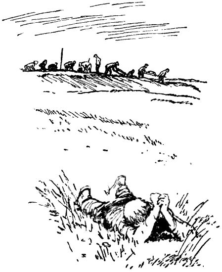 Семьдесят неизвестных i_007.png