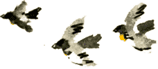 Бабушка, будь моей дочкой! img91.png
