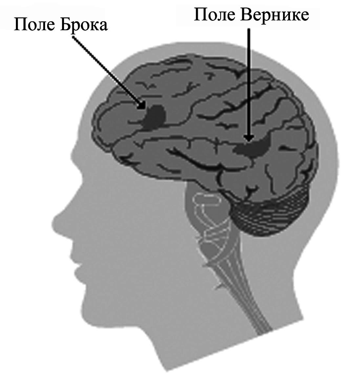 История одной случайности, или Происхождение человека i_028.png