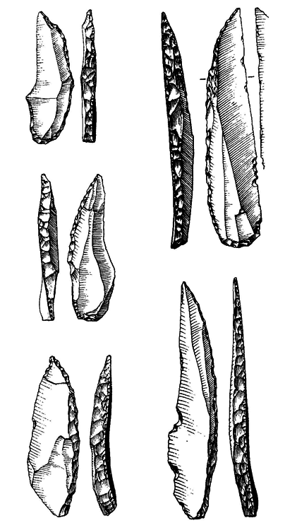 История одной случайности, или Происхождение человека i_034.png