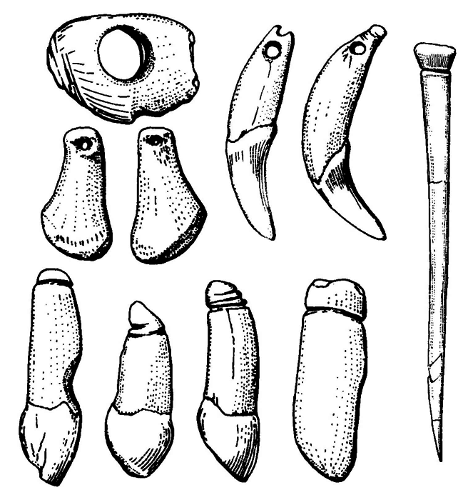 История одной случайности, или Происхождение человека i_035.png