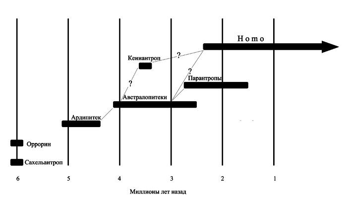 История одной случайности, или Происхождение человека i_003.png