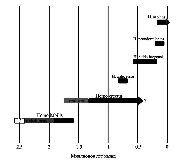 История одной случайности, или Происхождение человека i_005.png