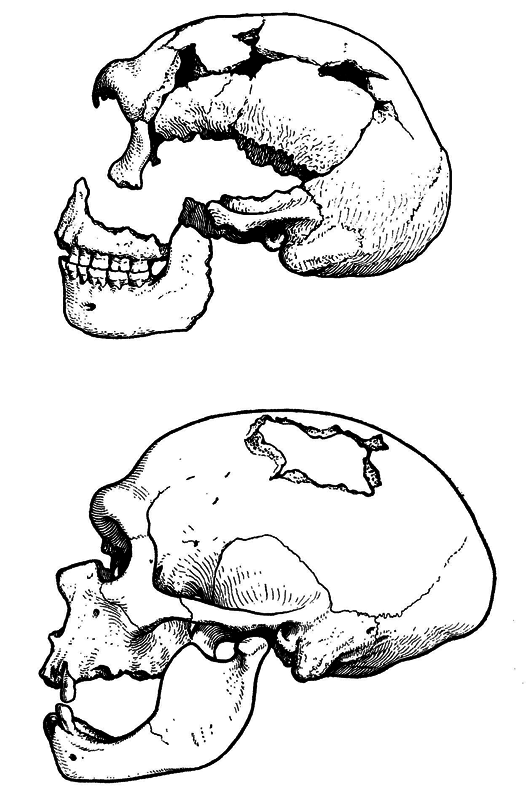 История одной случайности, или Происхождение человека i_009.png