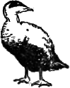 На маленьком острове i_011.png