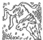 Скворец №17 (рассказы) unused_image18.jpg