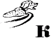 Говорящий грач (сборник рассказов) i_002.png