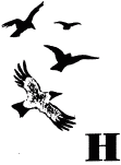 Говорящий грач (сборник рассказов) i_033.png