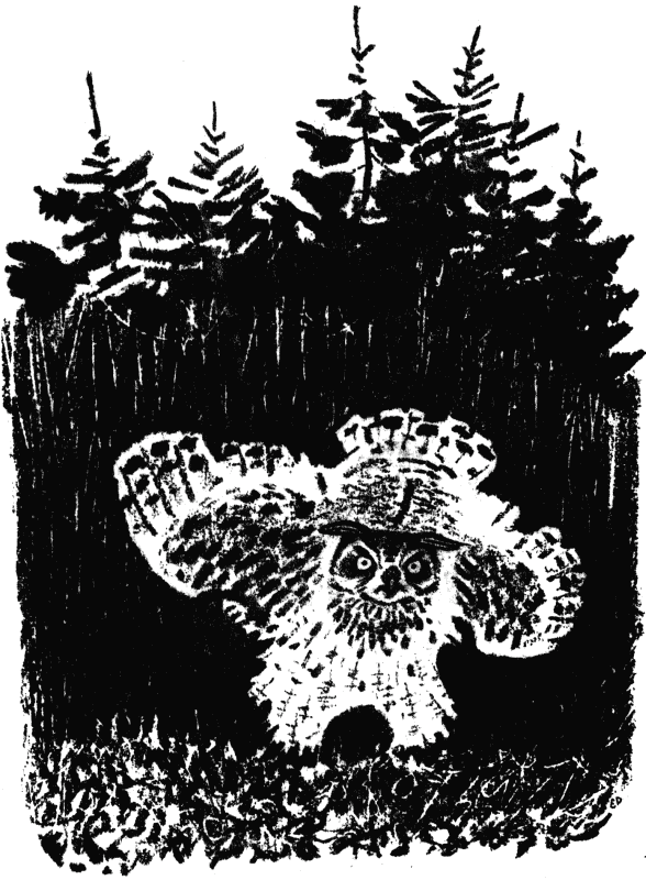 Говорящий грач (сборник рассказов) i_034.png