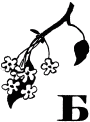 Говорящий грач (сборник рассказов) i_039.png