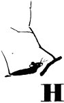 Говорящий грач (сборник рассказов) i_040.png