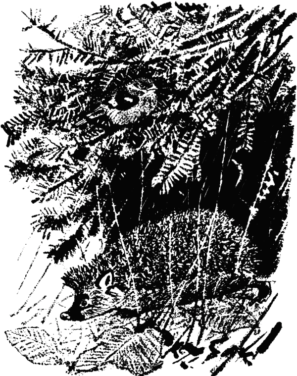 Говорящий грач (сборник рассказов) i_043.png