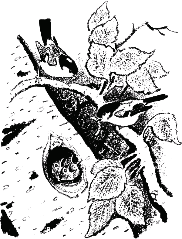 Говорящий грач (сборник рассказов) i_004.png