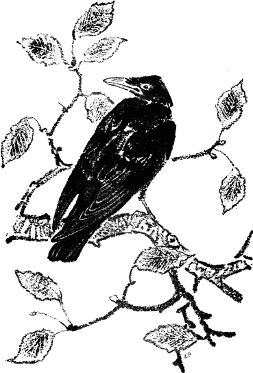 Говорящий грач (сборник рассказов) i_008.png