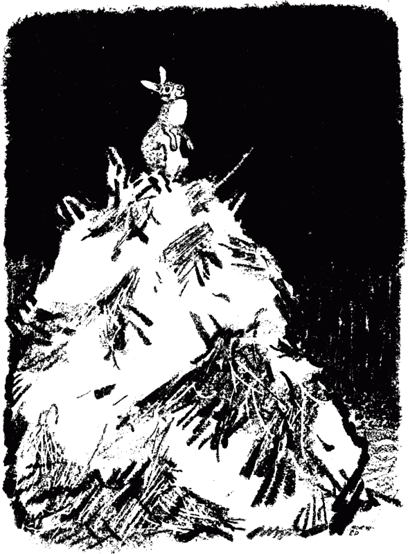 Говорящий грач (сборник рассказов) i_015.png