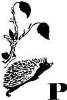 Говорящий грач (сборник рассказов) i_018.png