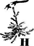 Говорящий грач (сборник рассказов) i_019.png