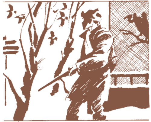 Ум лисицы i_010.png