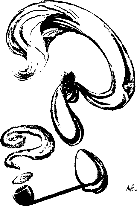 Философия с шуткой. О великих философах и их учениях i_020.png