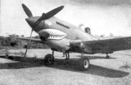 Curtiss P-40 часть 4 pic_84.jpg