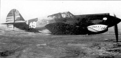 Curtiss P-40 часть 4 pic_87.jpg