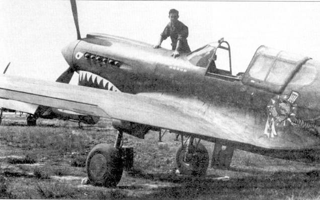 Curtiss P-40 часть 4 pic_90.jpg