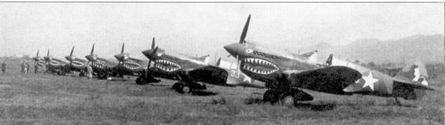 Curtiss P-40 часть 4 pic_93.jpg
