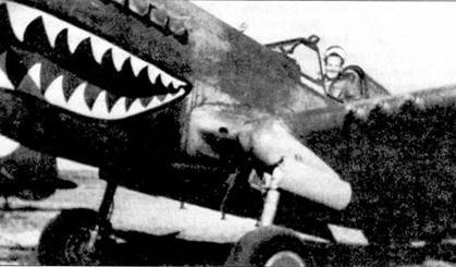 Curtiss P-40 часть 4 pic_95.jpg