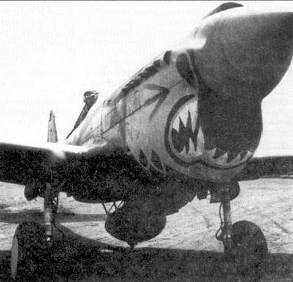 Curtiss P-40 часть 4 pic_21.jpg