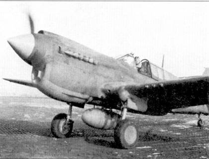Curtiss P-40 часть 4 pic_24.jpg