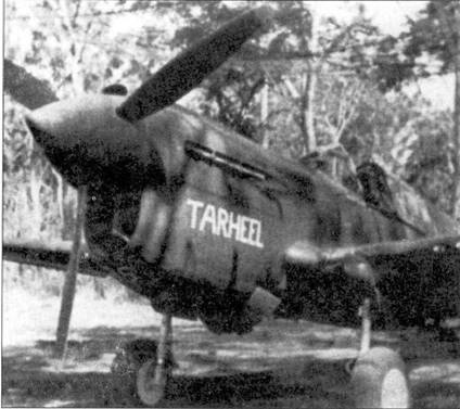 Curtiss P-40 часть 4 pic_29.jpg