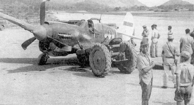 Curtiss P-40 часть 4 pic_35.jpg