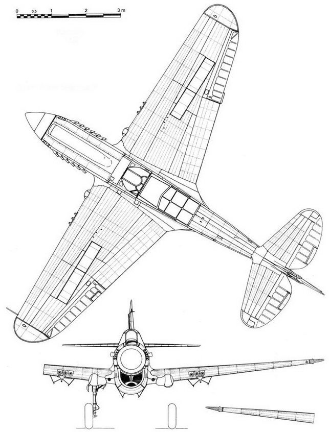 Curtiss P-40 часть 4 pic_53.jpg