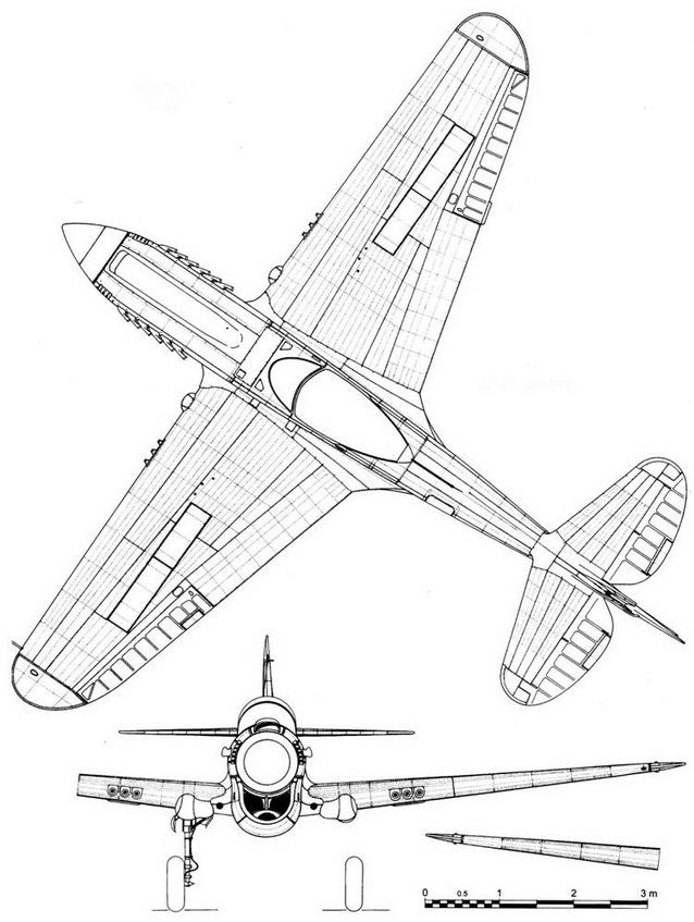 Curtiss P-40 часть 4 pic_63.jpg