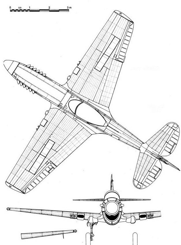 Curtiss P-40 часть 4 pic_69.jpg