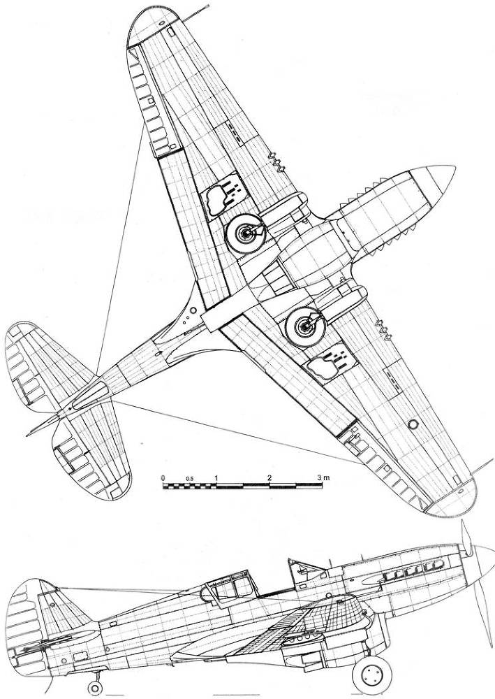 Curtiss P-40 часть 3 pic_69.jpg