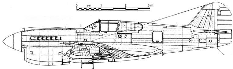 Curtiss P-40 часть 3 pic_72.jpg