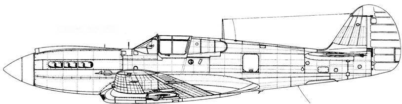 Curtiss P-40 часть 3 pic_77.jpg
