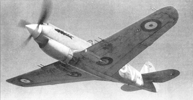 Curtiss P-40 часть 3 pic_87.jpg