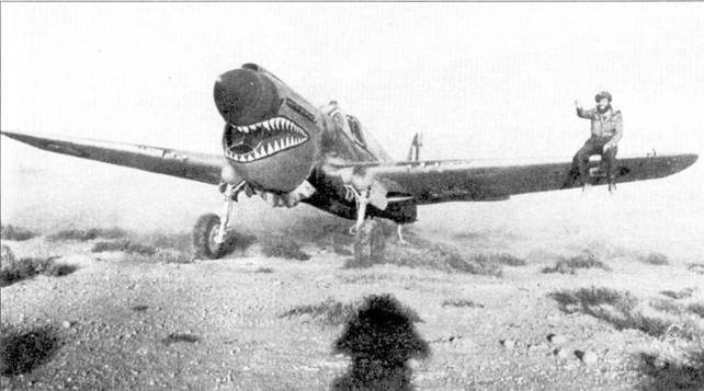 Curtiss P-40 часть 3 pic_92.jpg